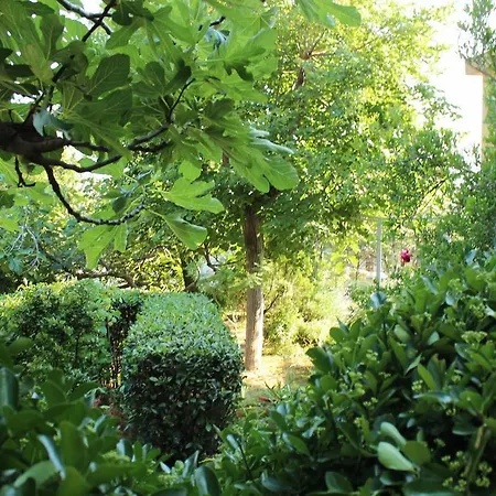 Olga Novi Vinodolski