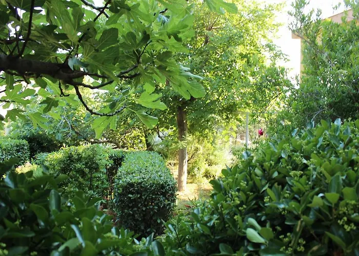 Olga Novi Vinodolski