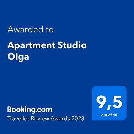 Apartment Studio Olga *